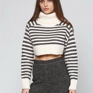 Zara Striped Cropped Chunky Knit Sweater (Gray and Cream White/ size Medium)